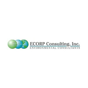 ECORP Consulting